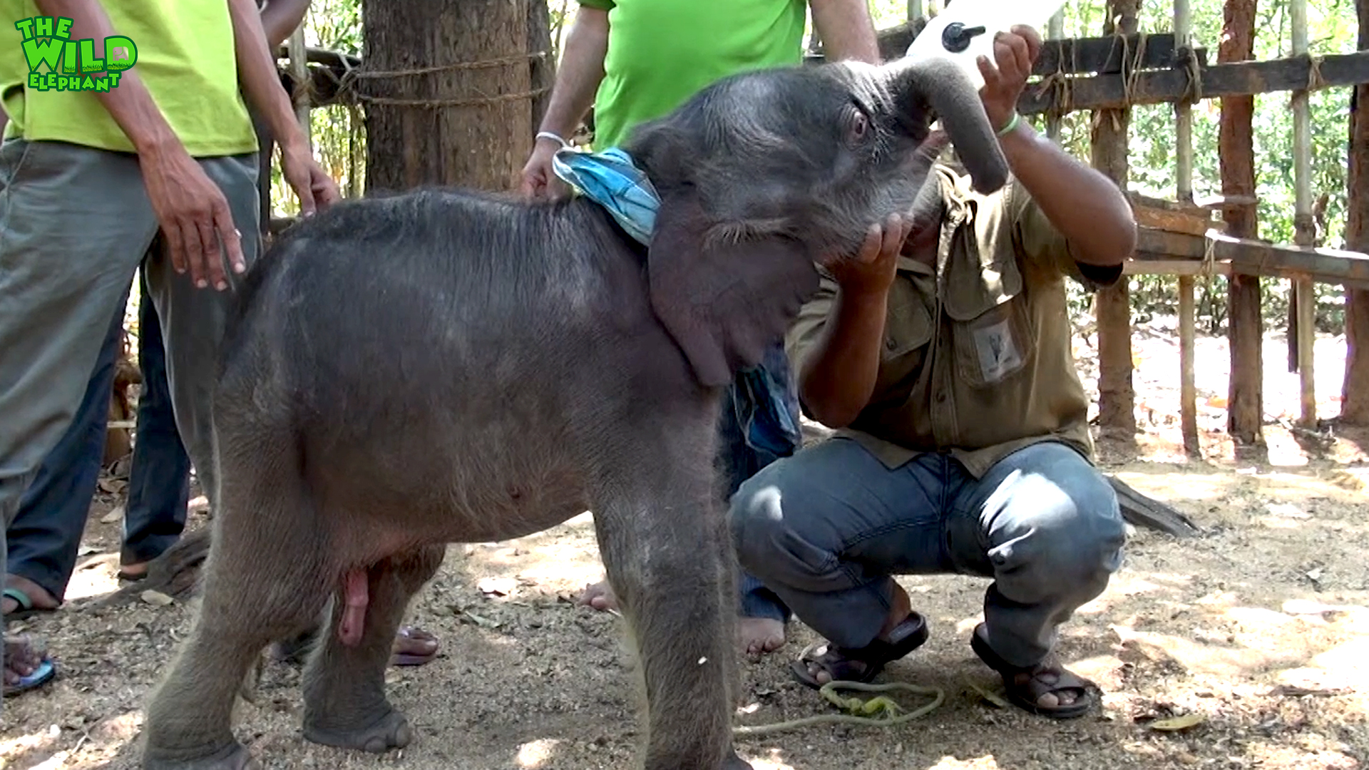 wildlife team feeds little